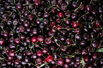 Heap of maroon cherries, close-up details top view of fresh ripe berries displayed for sale, organic seasonal fruits, natural healthy raw produce, vegetarian food and summer harvest concepts