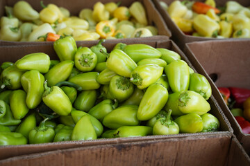 Close-up of fresh vibrant green bell peppers in cardboard boxes at local farmers market outdoors in daylight, organic vegetable harvest, healthy food and seasonal produce concept