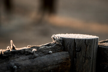 winter frost cold pretty 