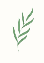 A simple elegant green leaf branch with subtle texture on a creamy background perfect for backgrounds