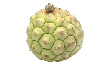 Obraz premium Custard apple displayed on a white background showcasing its unique textured skin and shape in high-definition detail suitable for culinary presentations and food photography