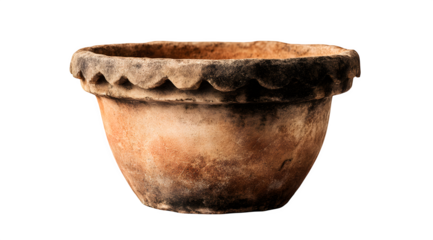 A terracotta pot with a scalloped rim sits against a white background in a studio setting with soft lighting