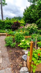 A vibrant garden path lined with raised beds