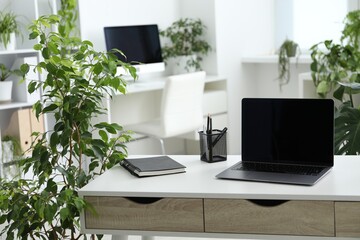 Fototapeta premium Stylish workplace with laptop, stationery and floral decor in office. Biophilic interior design