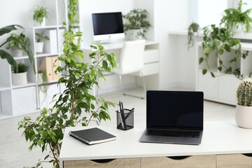 Fototapeta premium Stylish workplace with laptop, stationery and floral decor in office. Biophilic interior design