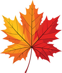 Autumn Maple Leaves with Orange and Red Tones 