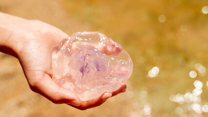 The boy holds a jellyfish