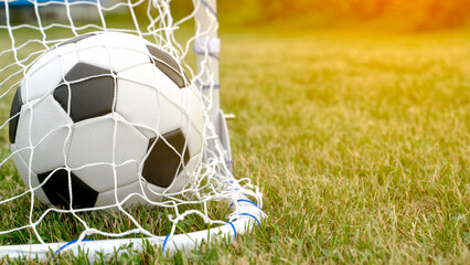 football in a gate grid on a green lawn