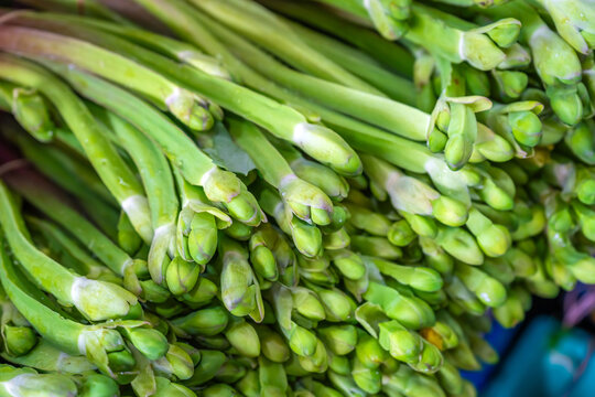 Fresh Limnocharis flava (Yellow Velvetleaf), an aquatic plant found in ponds, swamps, and rice fields, displayed for sale at a local market in Asia.