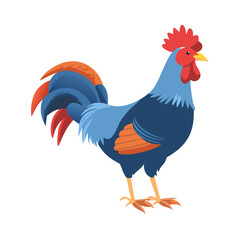 Colorful Farm Rooster or Gallic Cock Vector Illustration - Proud Male Chicken