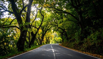 A winding road through a vibrant autumn forest