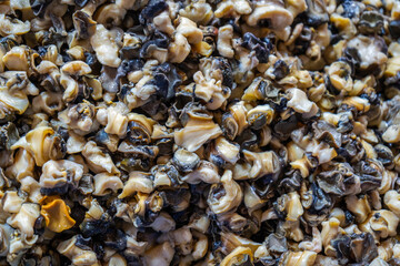 Cooked golden apple snail meat, freshly prepared and ready to eat, a traditional Asian delicacy and unique local ingredient in authentic cuisine.
