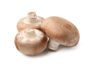 Fresh raw champignon mushrooms isolated on white