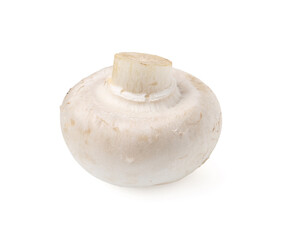 One fresh raw champignon isolated on white