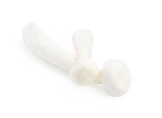 Fresh raw shimeji mushrooms isolated on white