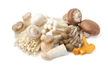 Pile of different raw mushrooms isolated on white