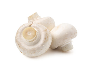 Fresh raw champignon mushrooms isolated on white