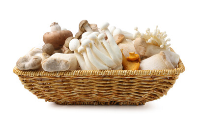 Different raw mushrooms in wicker basket isolated on white