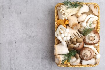 Different raw mushrooms and dill in wicker basket on grey textured table, top view. Space for text