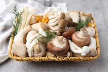 Different raw mushrooms and dill in wicker basket on grey textured table, closeup