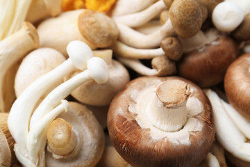 Different raw mushrooms as background, closeup view