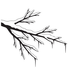 Bare Tree Branch Covered in Snow and Icicles, Black and White Illustration