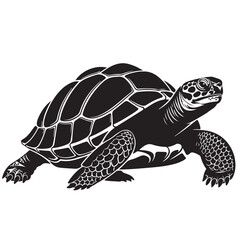 Graphic Black and White Turtle Illustration