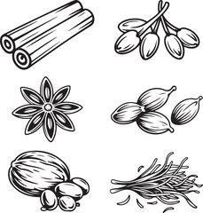 Collection of hand drawn spice illustrations including cinnamon sticks star anise cardamom nutmeg and saffron isolated on white background silhouette