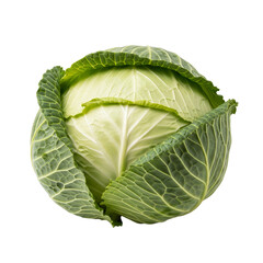 Fototapeta premium Fresh green cabbage with textured leaves isolated on a transparent background vegetable healthy