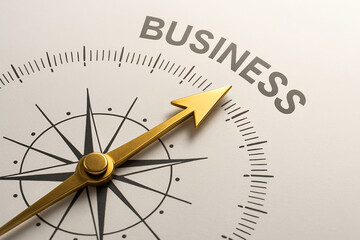Business Compass Guiding Success and Direction