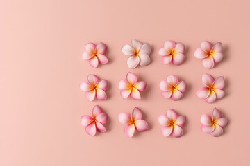Pastel plumeria flower, pink frangipani, minimal pattern, soft background, serene mood