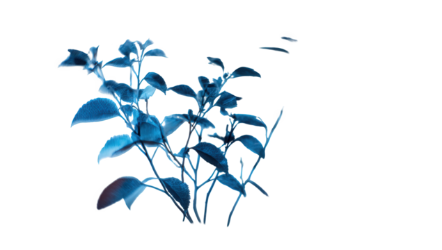 Blue Plant Leaves on Dark Background - Powered by Adobe
