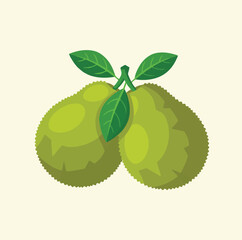 “Fresh Green Jackfruit with Leaves – Vector Illustration”
