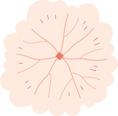 flat cartoon top view of tree illustration.