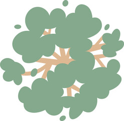 flat cartoon top view of tree illustration.