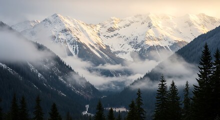 白銀の静寂と霧の谷間