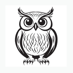 owl on a white background