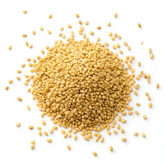 Single dried sesame seed isolated on white background, highlighting its small size, smooth beige texture,