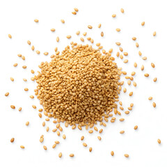Single dried sesame seed isolated on white background, highlighting its small size, smooth beige texture,