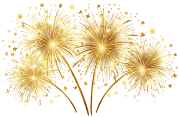 Golden Fireworks Burst Against Black Background