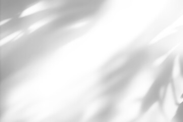 shadow overlay effect of natural tree leaves shadow over on white wall background,realistic summer sunlight abstract shadow overlay on transparent png background