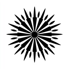 Obraz premium Black and white symmetrical radial design