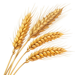 Wheat grains isolated on white background, showcasing golden-brown kernels widely used in baking,