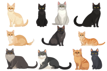 Collection of various cat breed icons showcasing their unique features and characteristics in a vibrant, illustrative style suitable for digital use and design