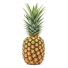Whole ripe pineapple with green leaves isolated on white background