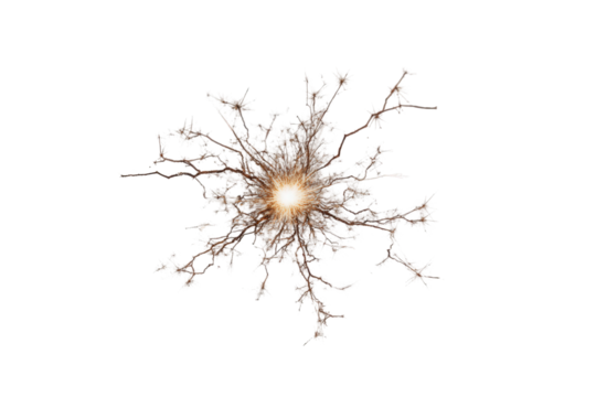 Abstract Brown and Gold Energy Burst on Black Background