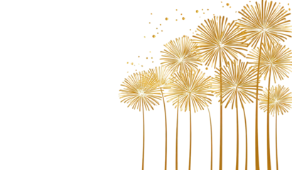 Golden Fireworks on Black Background