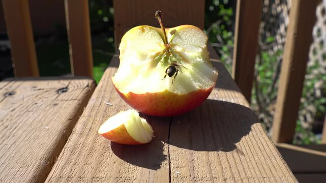 Bitten apple outdoors with a bee, on wooden railing, nature background