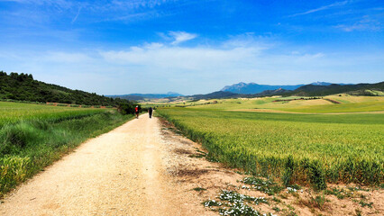pilgrims on the walk in the green fields of may along the sixth stage of the Camino de Santiago from Estella to Los Arcos
