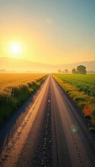 Naklejka premium Serene country road stretching towards a hazy horizon, sun-drenched fields flanking the path, idyllic rural landscape Perfect for travel, nature, and countryside themes , blue sky, way, rural